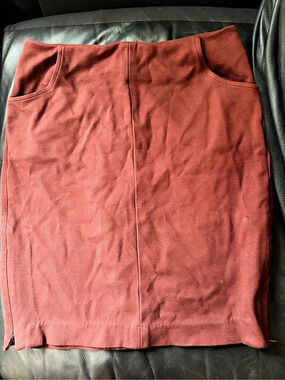 CAbi Mini Skirt in brown Size 4